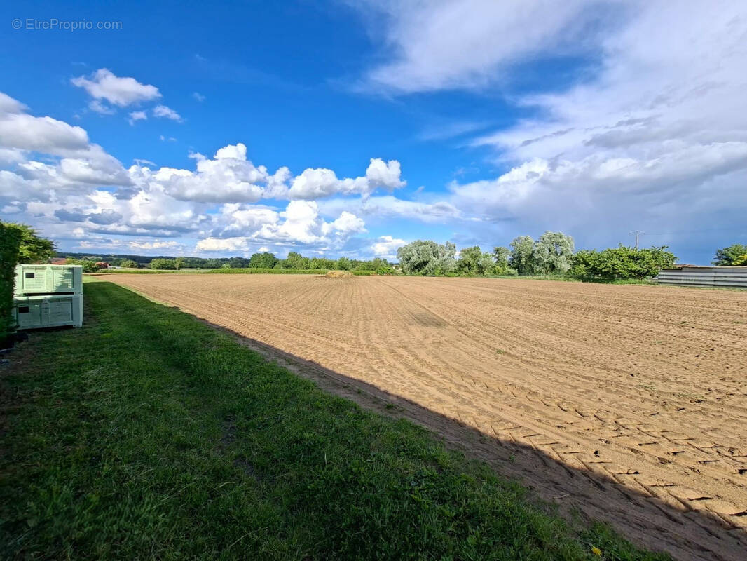 Terrain à BAGE-LA-VILLE