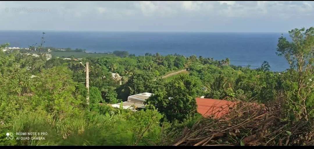 Terrain à SAINT-JOSEPH