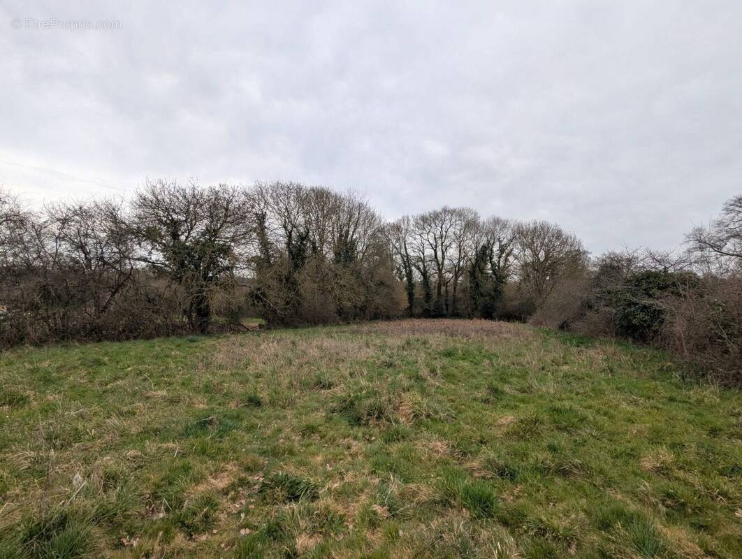 Terrain à LASSY