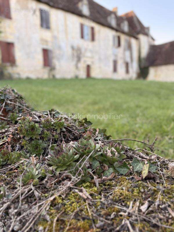 Maison à BASSILLAC