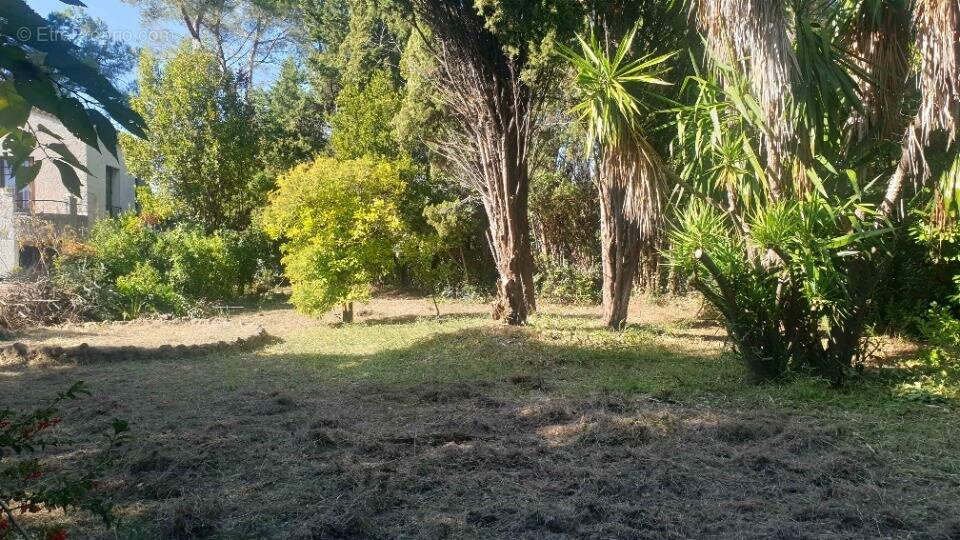 Terrain à VILLENEUVE-LOUBET
