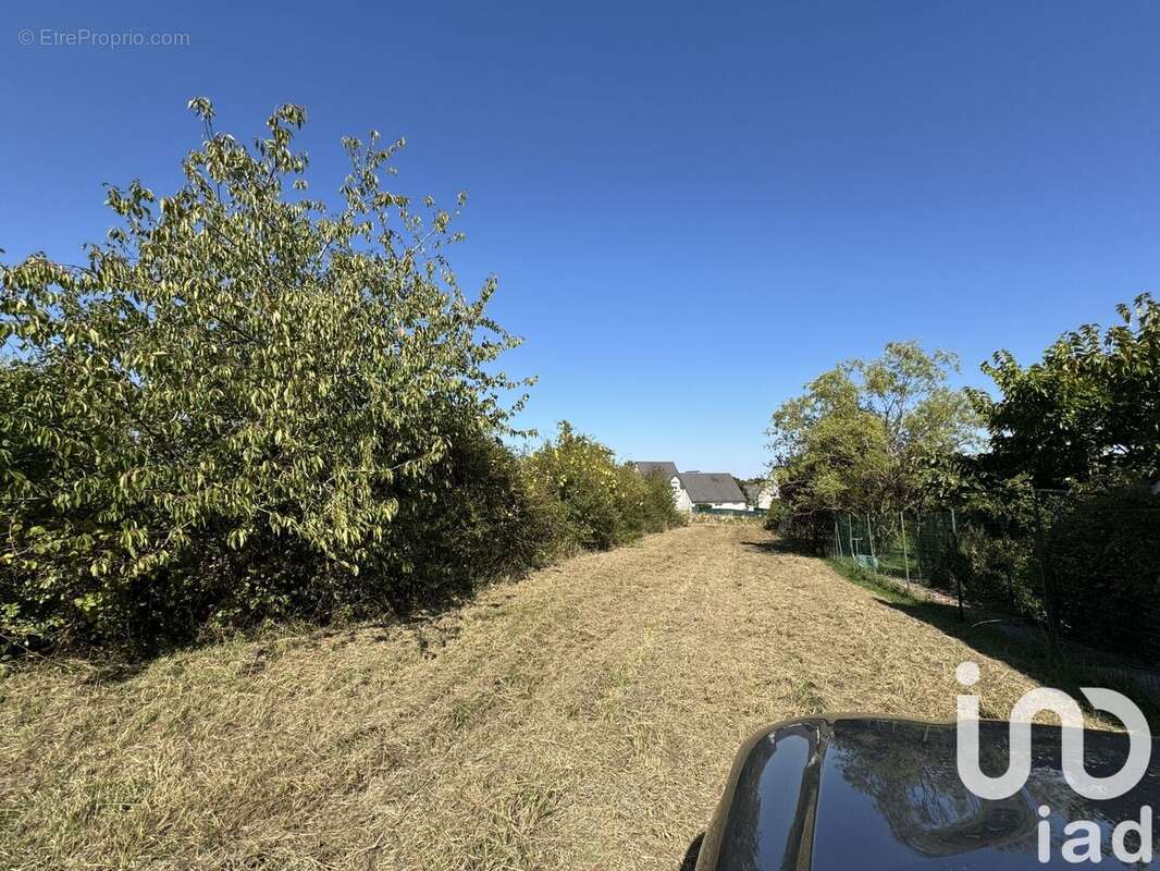 Photo 3 - Terrain à AMBOISE