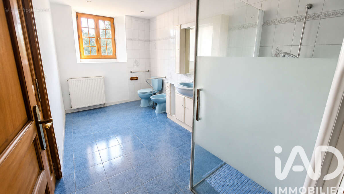 Maison 242 m² à Bouteilles-Saint-Sebastien  - photo 6