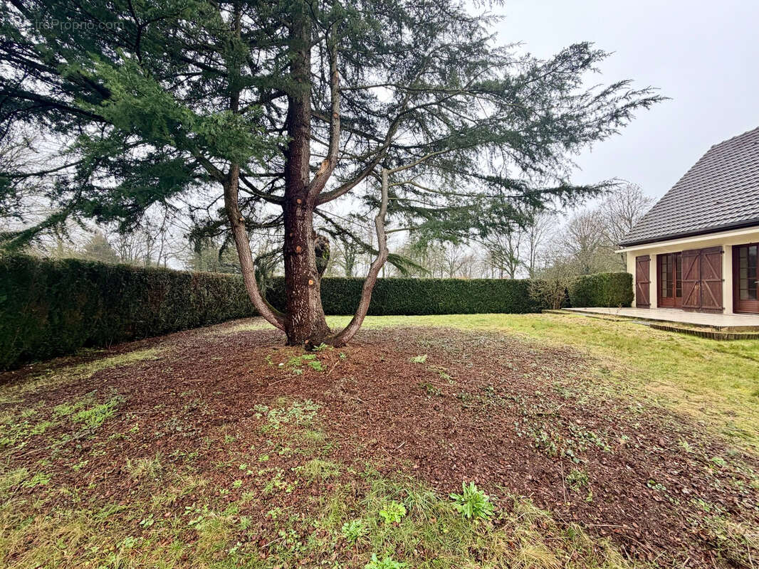 Maison à LA FRESNAYE-SUR-CHEDOUET