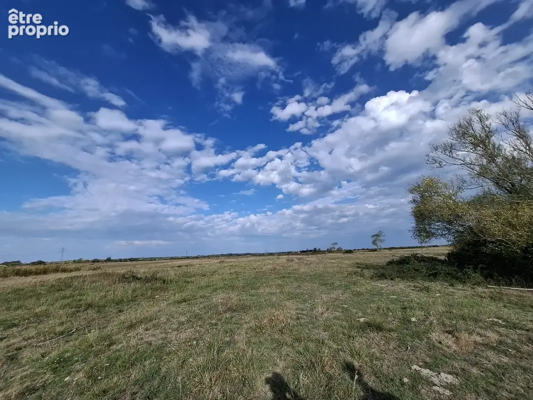 Photo Maison à Notre-Dame-De-Monts au prix de 360 400€