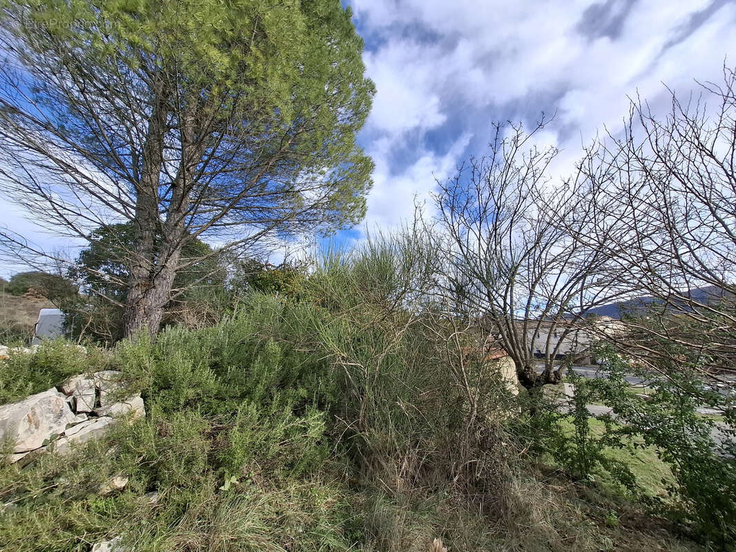 Terrain à MOULES-ET-BAUCELS
