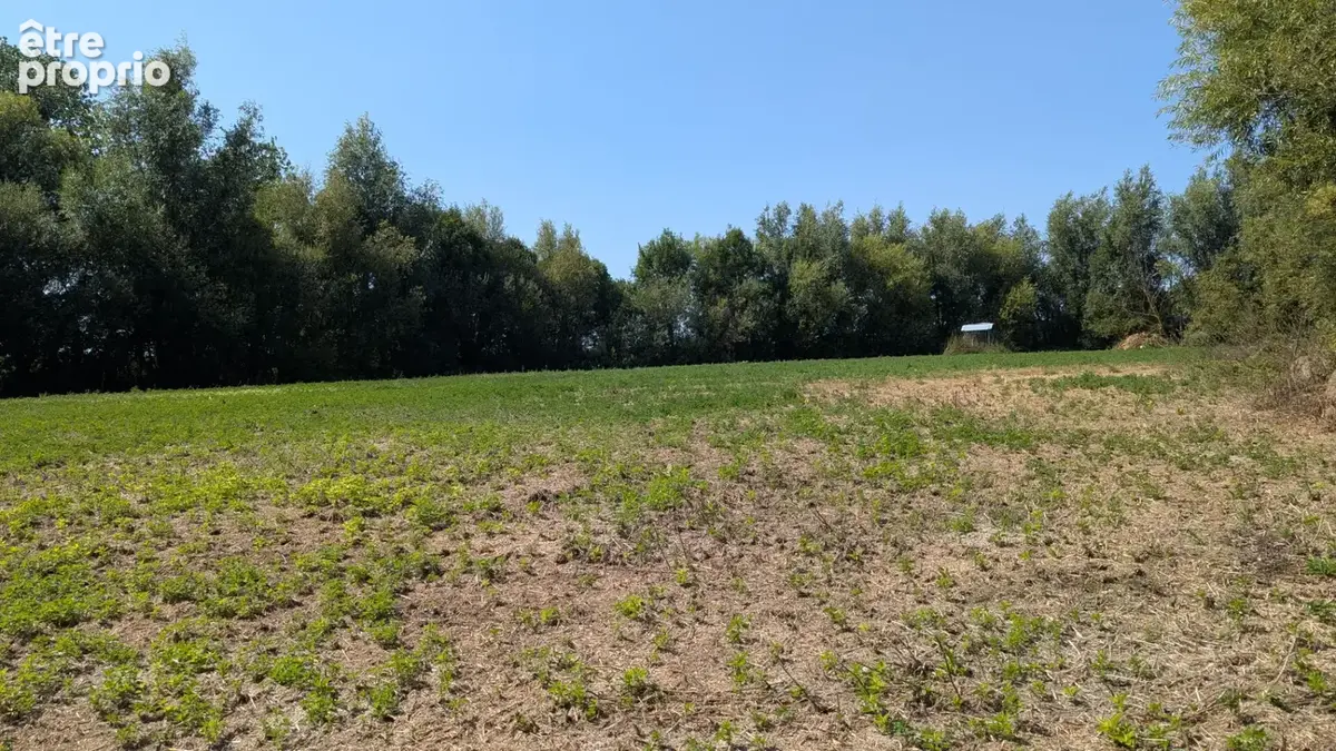 A VENDRE Maison pierres de 274 m²  - Terrain 9795 m²  - CHERRUEIX - photo 17