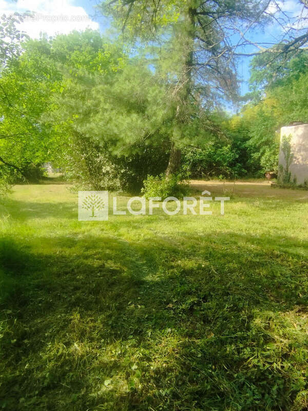 Terrain à PESSAC