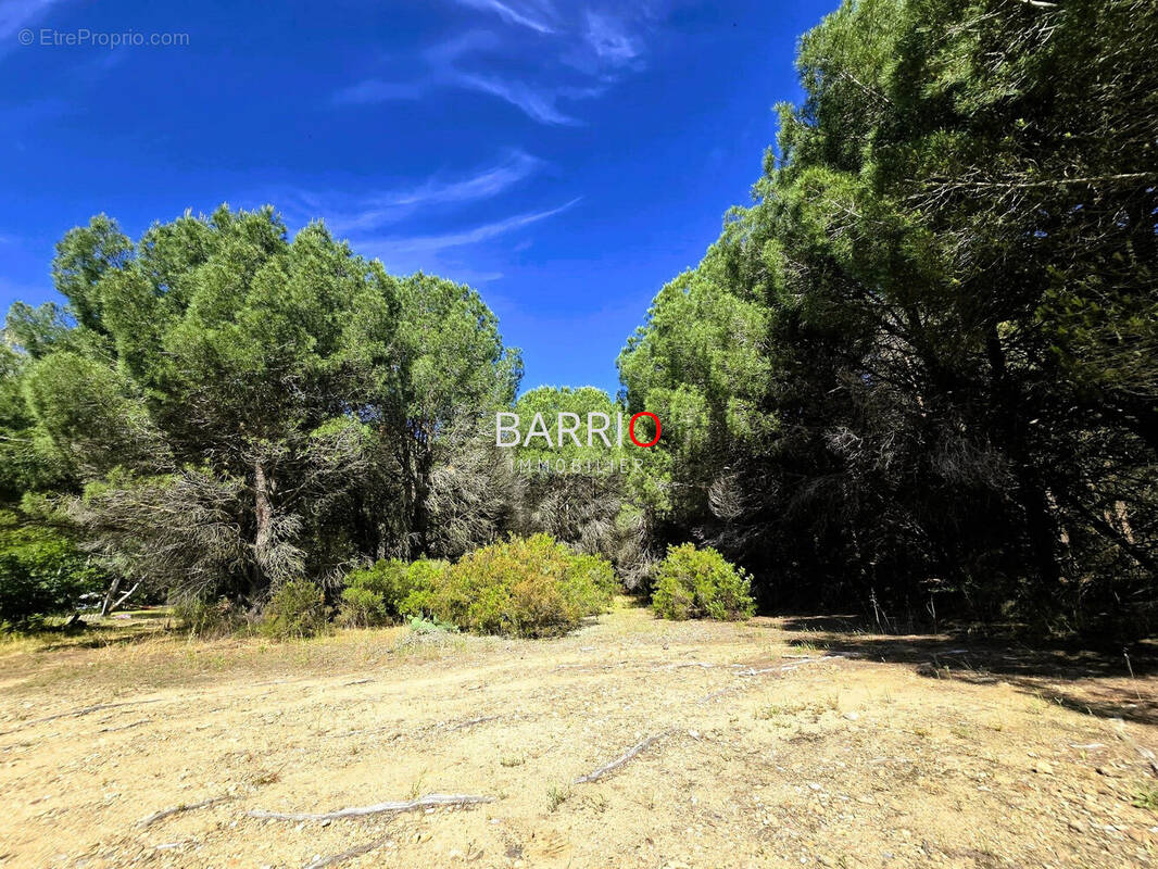 Terrain à ARGELES-SUR-MER