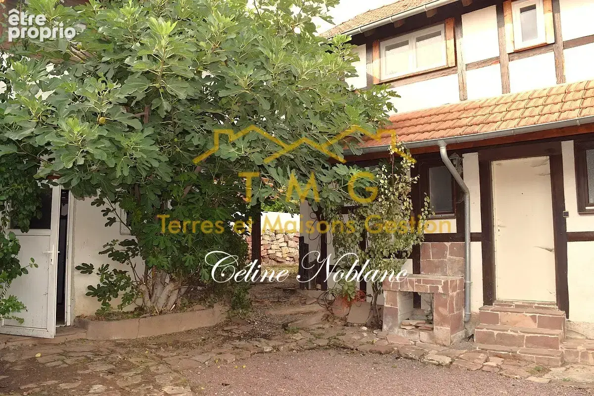 Belle maison Alsacienne avec dépendances - photo 9