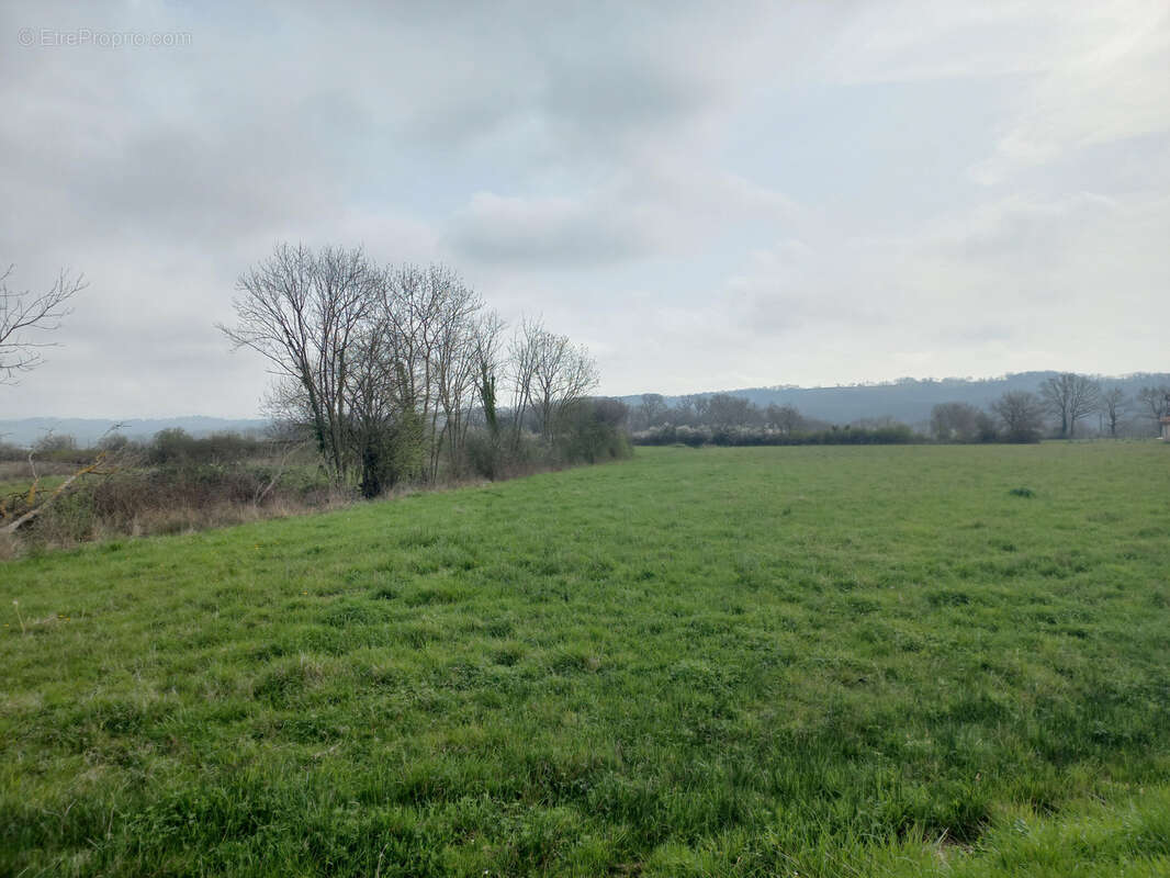 Terrain à CASTELNAU-MAGNOAC