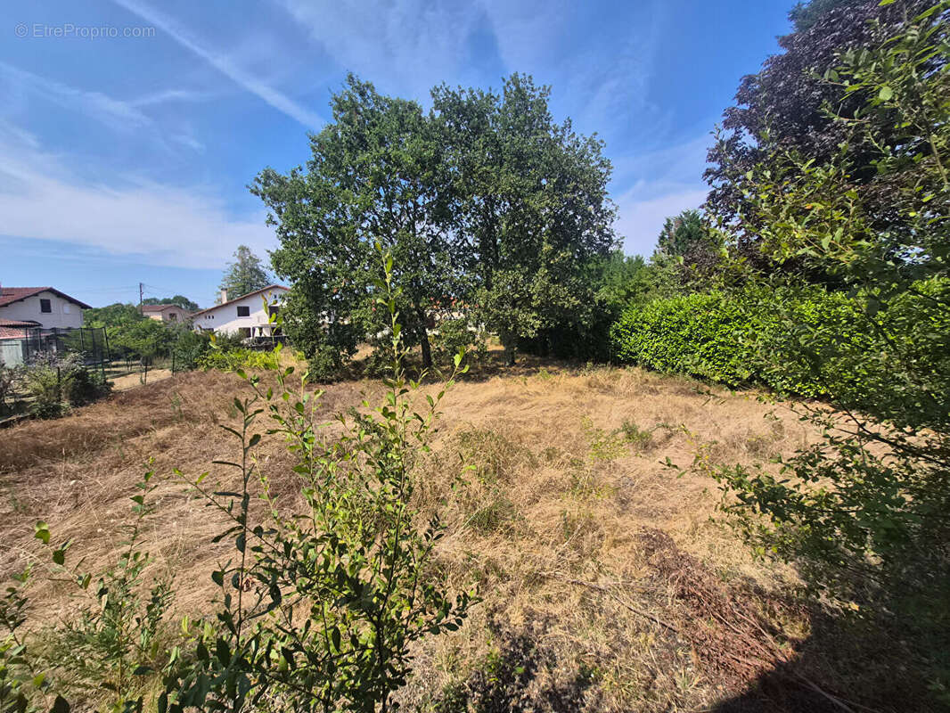 Maison Villeneuve De Marsan - photo 10