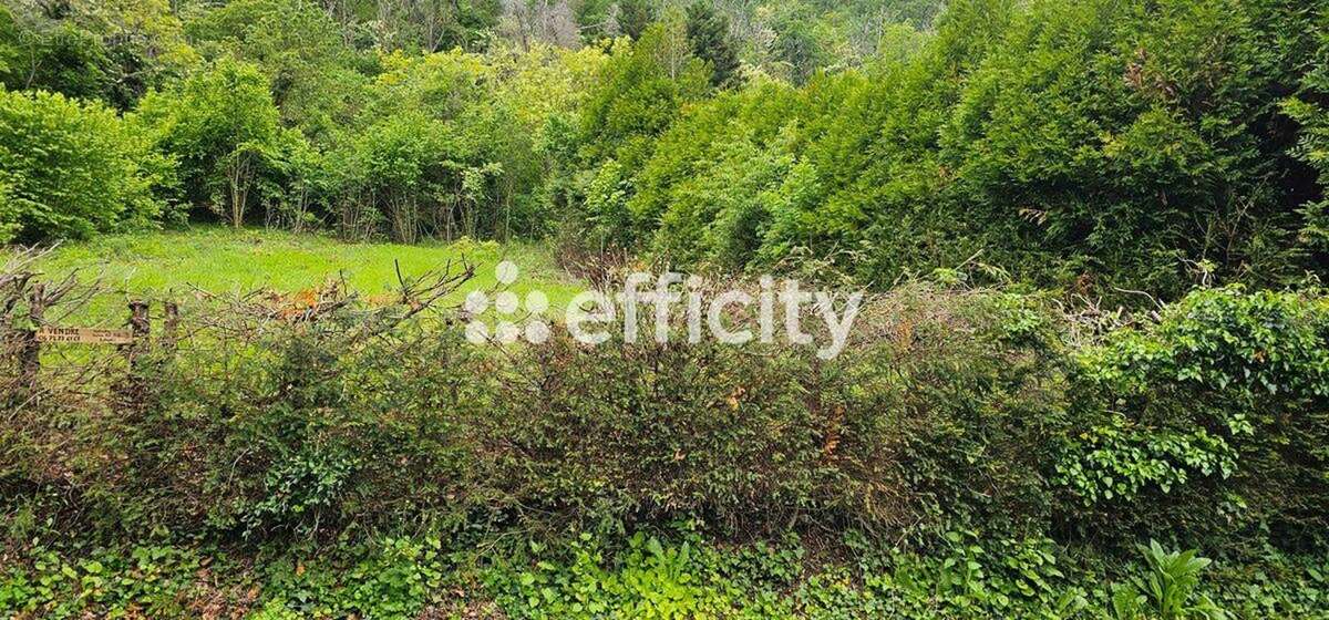 Terrain 1350 m² à Sayat  - photo 2