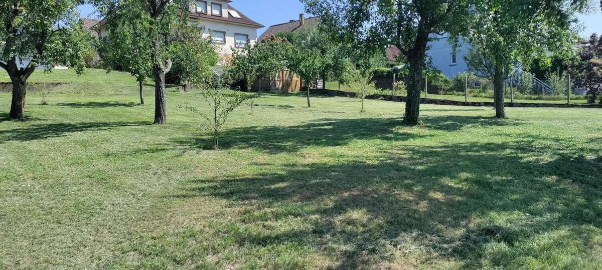 Photo 6 - Maison à NIEDERBRONN-LES-BAINS