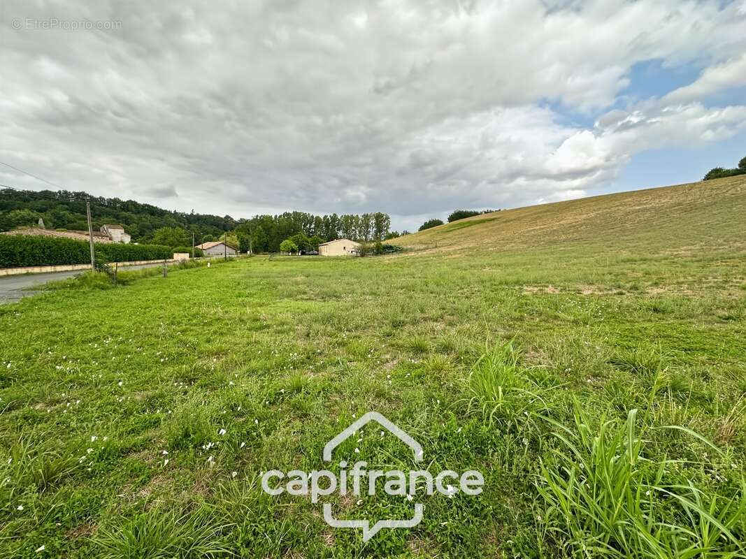 Terrain à vendre  saint caprais de lerm (47) - photo 4