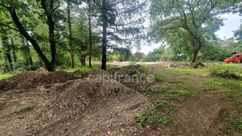 Terrain à vendre avec projet de construction CORBENAY (70) - photo 2