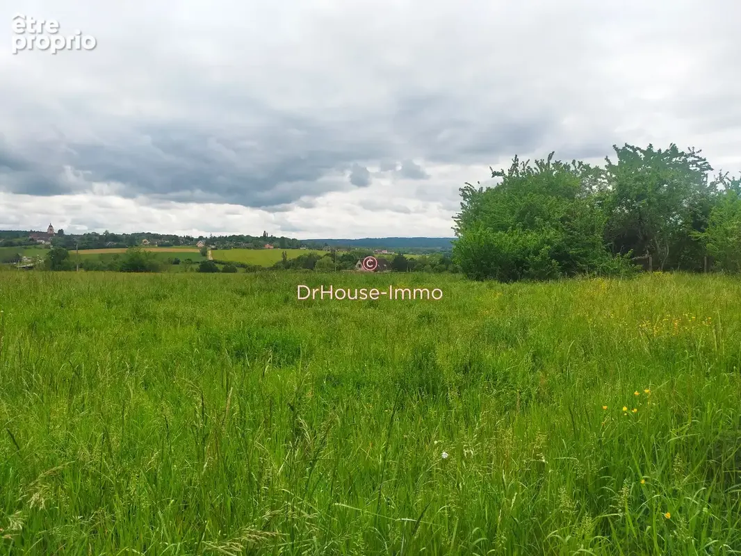 Terrain 3 700 m² à vendre à Chevannes (89240) - photo 7