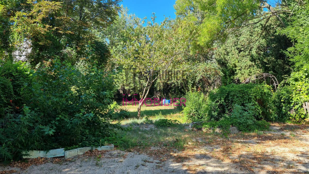 Maison 118 m² à Entraigues-Sur-La-Sorgue  - photo 2