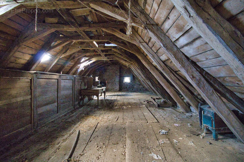 Maison à SAINT-VINCENT-DE-SALERS