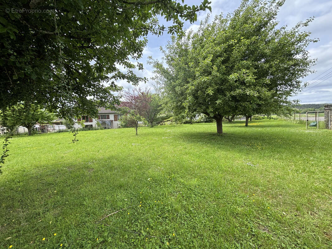 Terrain à MUSSY-SUR-SEINE