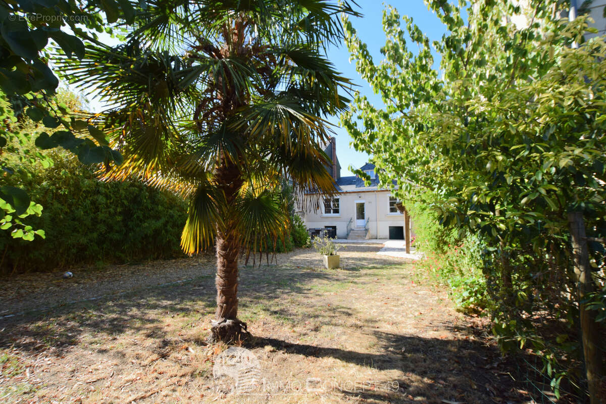 Brissac bourg - photo 9