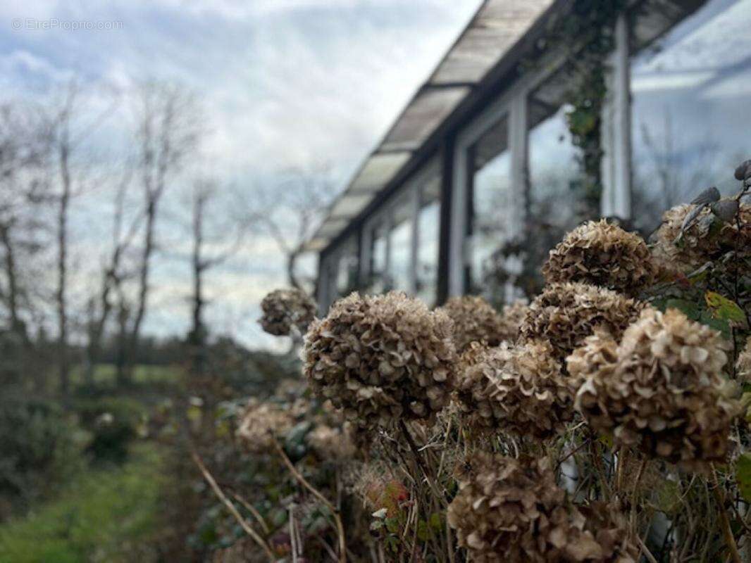 Maison de caractère à rénover -130m² Grand terrain Plomelin - photo 13