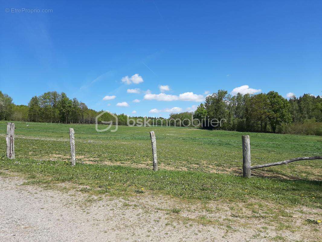Terrain à CHAILLAC-SUR-VIENNE