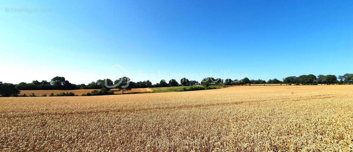 Longère rénovée - photo 15