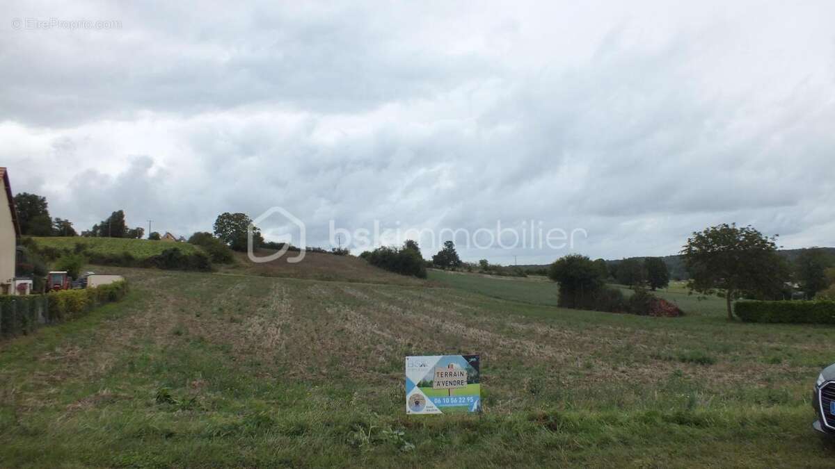 Grand terrain - photo 3
