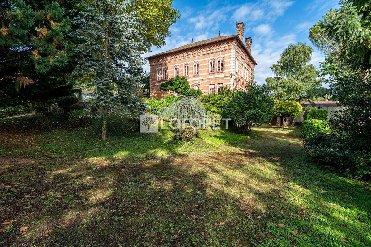 Commerce à BELLEVILLE