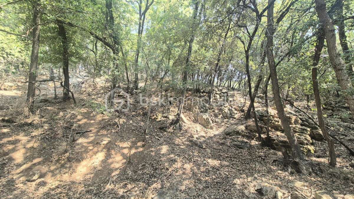 Maison à BELGENTIER