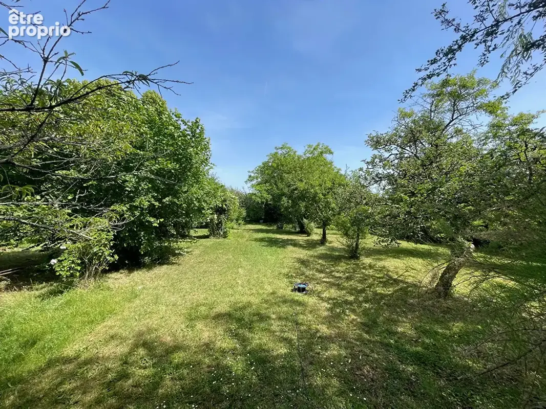 Buxerolles  - maison 4 pièce(s) 114 m2 - grand terrain. - photo 4