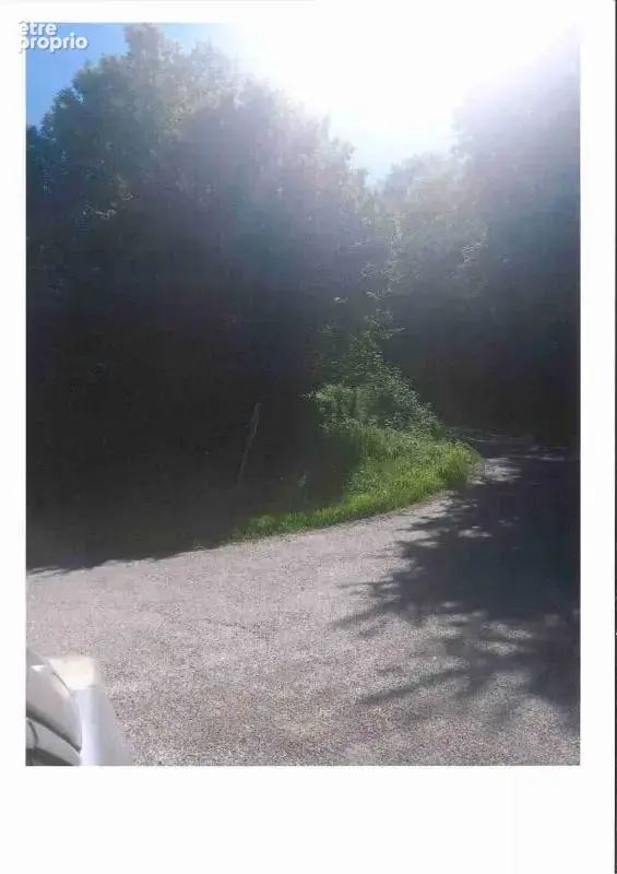 Terrain de loisirs - photo 1