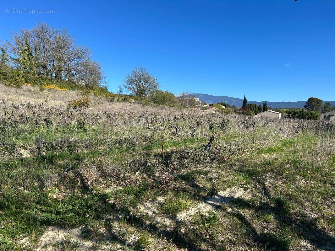 Terrain à SAINT-MARCELLIN-LES-VAISON