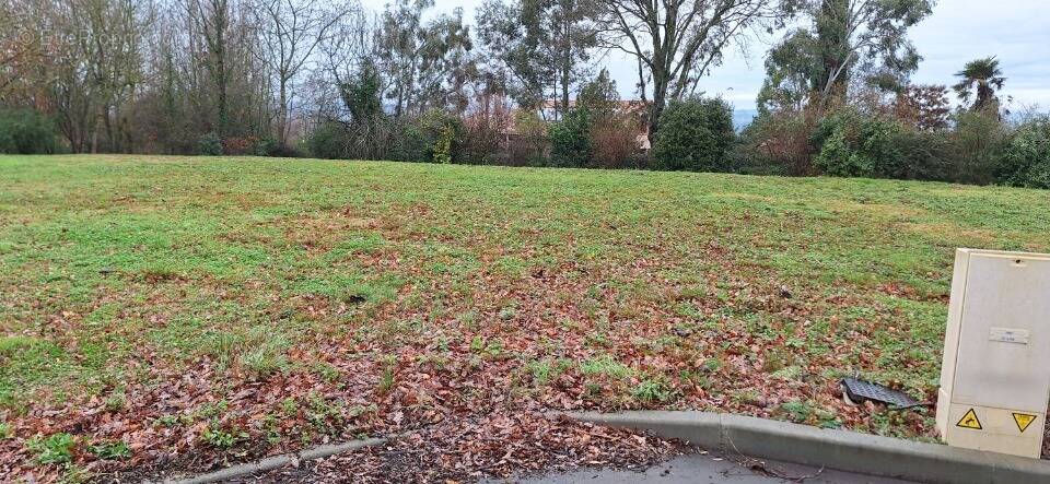 Terrain à L'ISLE-JOURDAIN