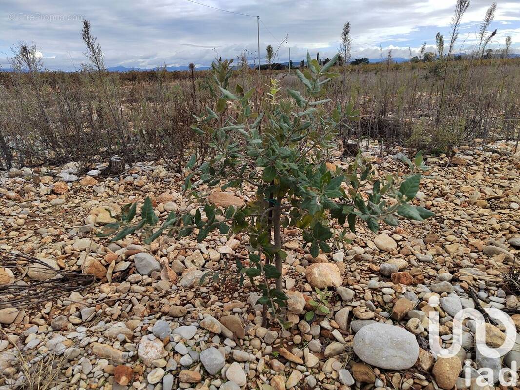 Photo 1 - Terrain à ROCHEGUDE