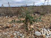 Photo 1 - Terrain à ROCHEGUDE