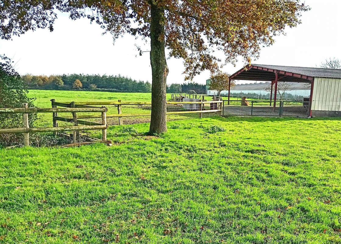 Terrain 170000 m² à Riaille  - photo 5