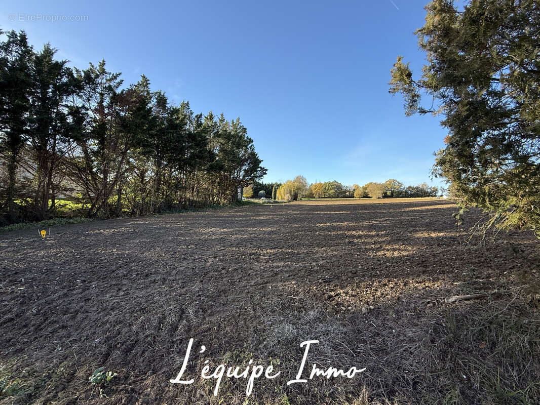 Terrain à CASTILLON-SAVES