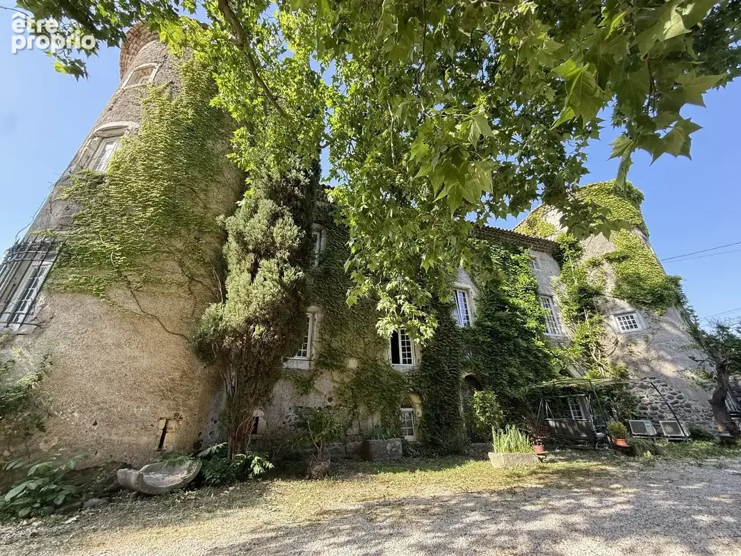 Chateau medieval unique - photo 35