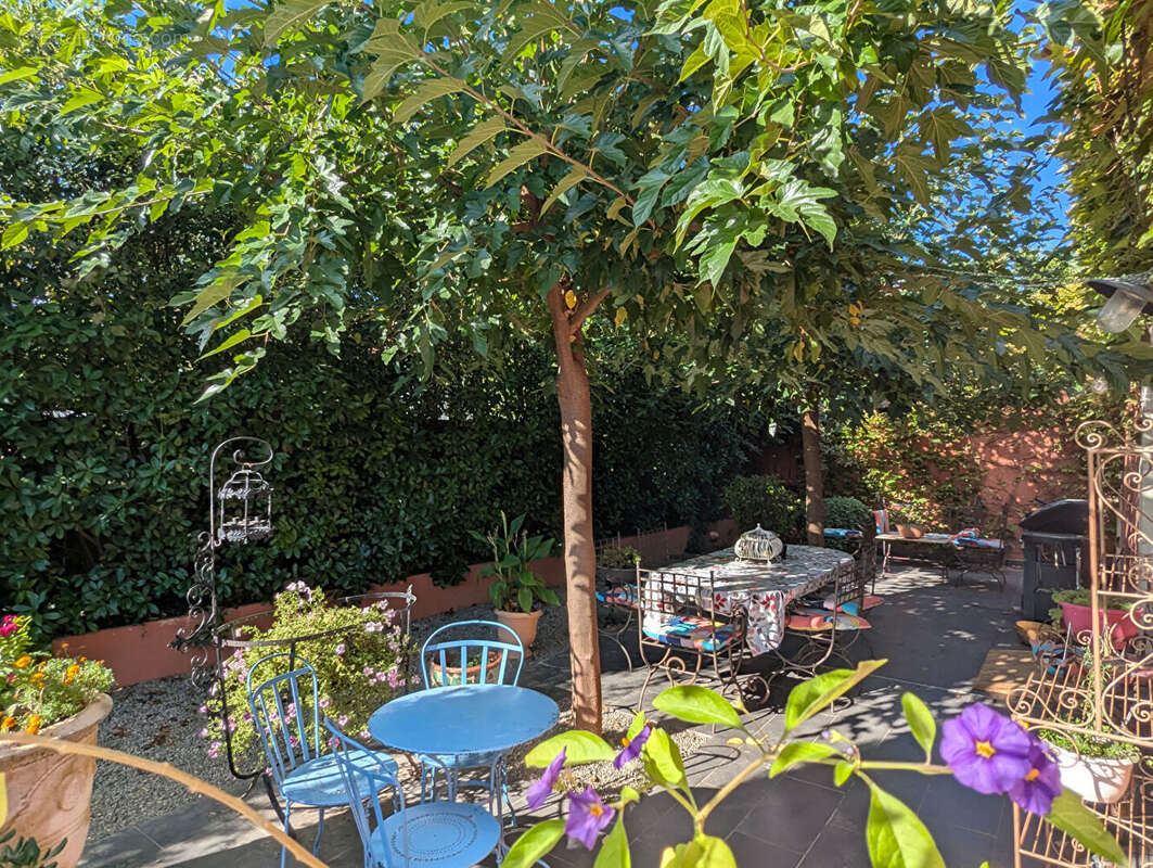 Commerce à SALERNES