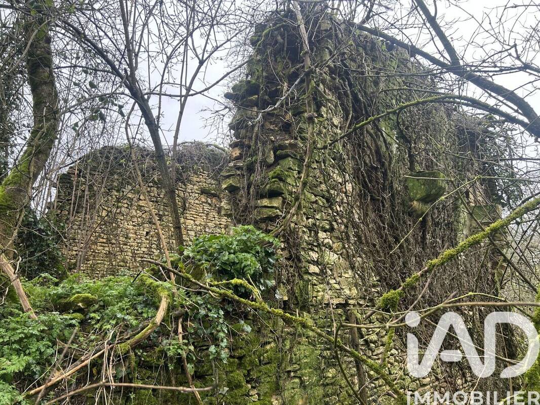 Photo 1 - Terrain à MAINE-DE-BOIXE