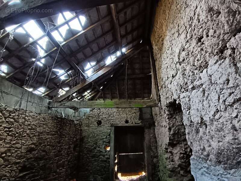 Terrain de loisirs de 2 300 m2  avec ancienne dépendance – Zone agricole – Crédin - photo 9