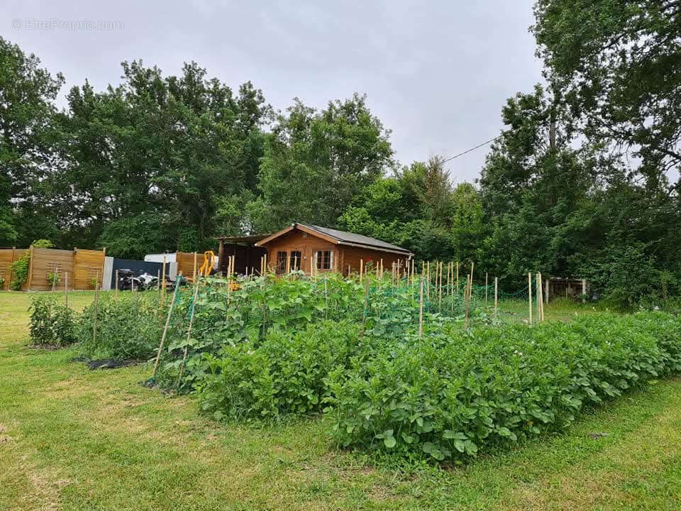 Maison à SAINTE-MAURE-DE-PEYRIAC