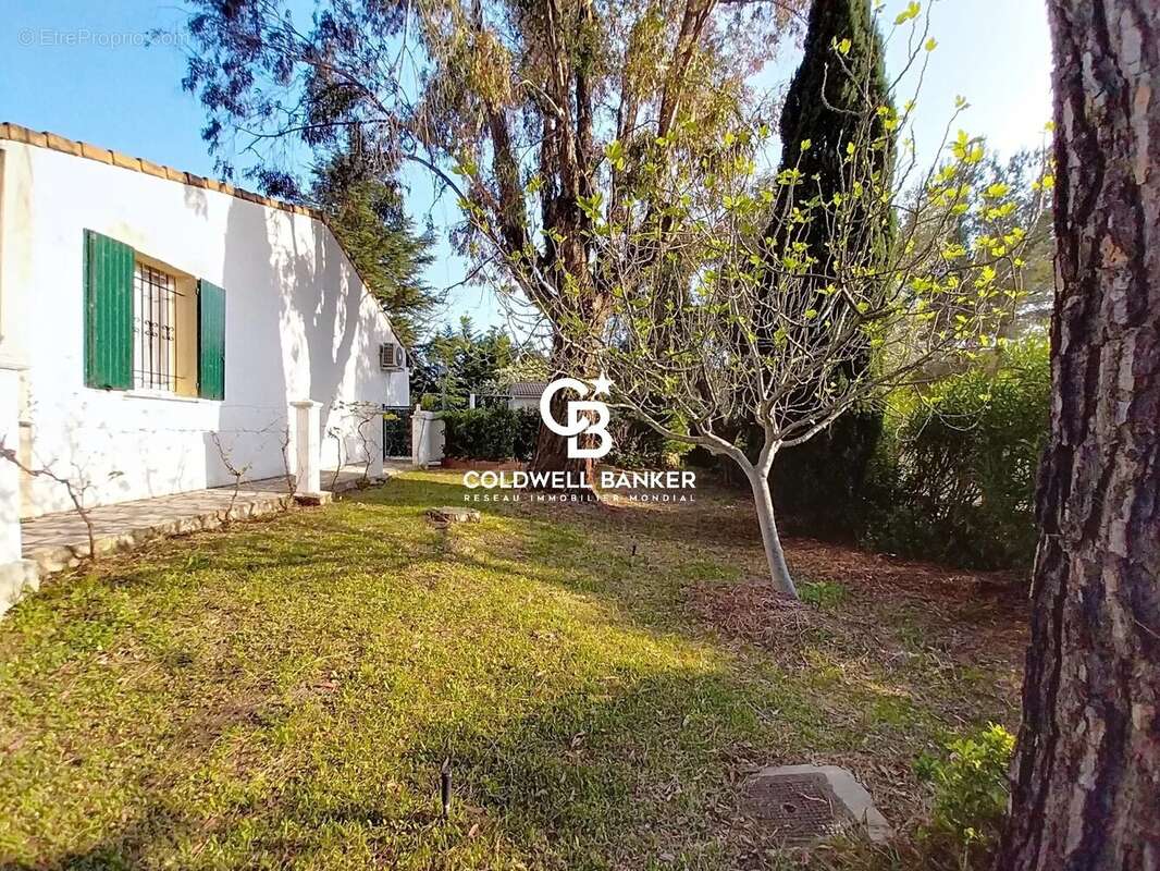 Maison à ROQUEBRUNE-SUR-ARGENS