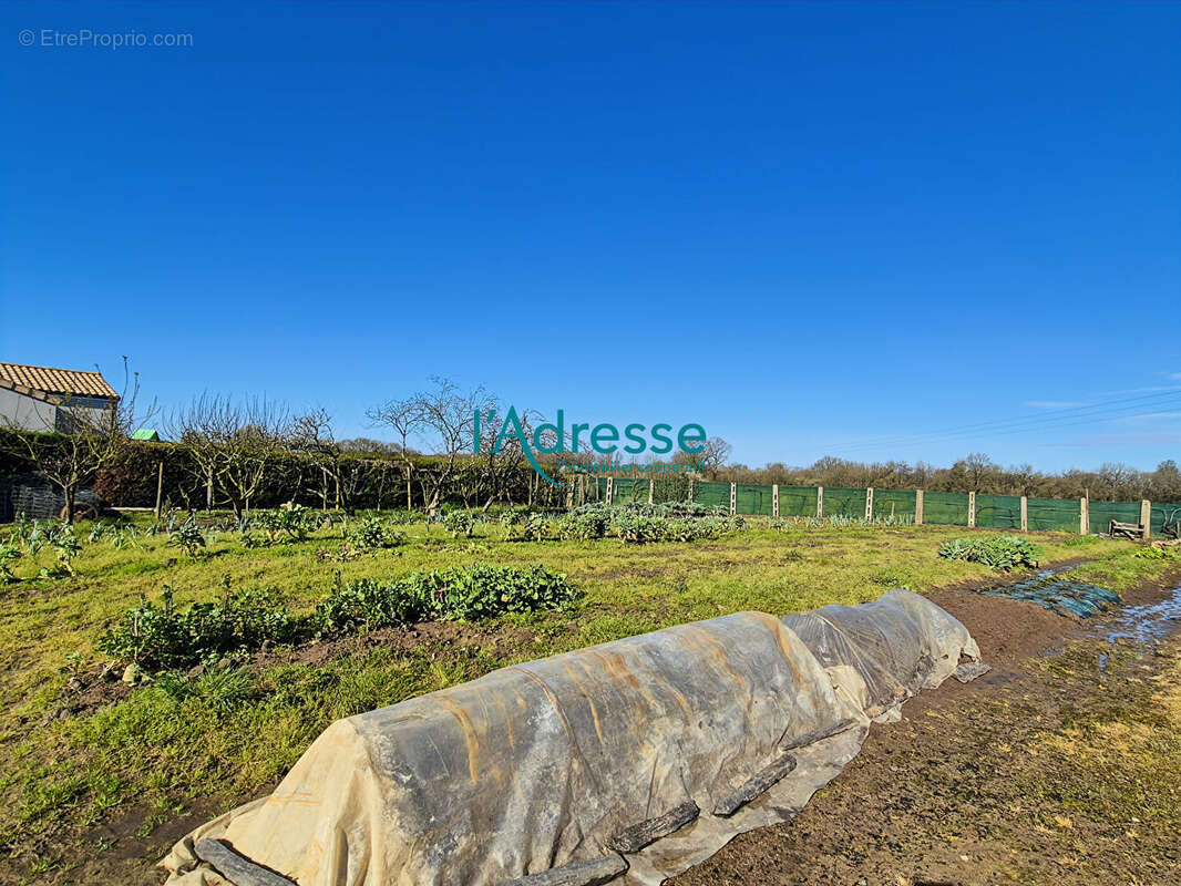 Maison à MONTREVAULT