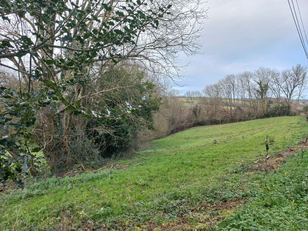 Parking à TRIE-SUR-BAISE