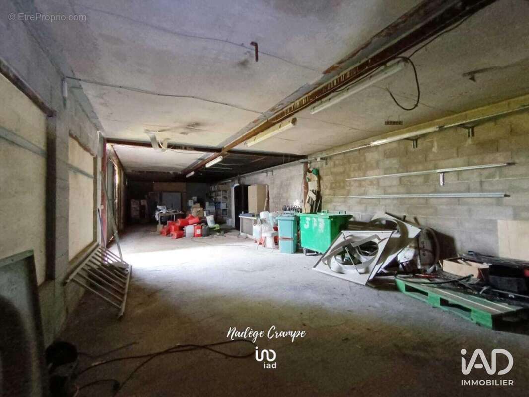 Photo 9 - Commerce à IBOS