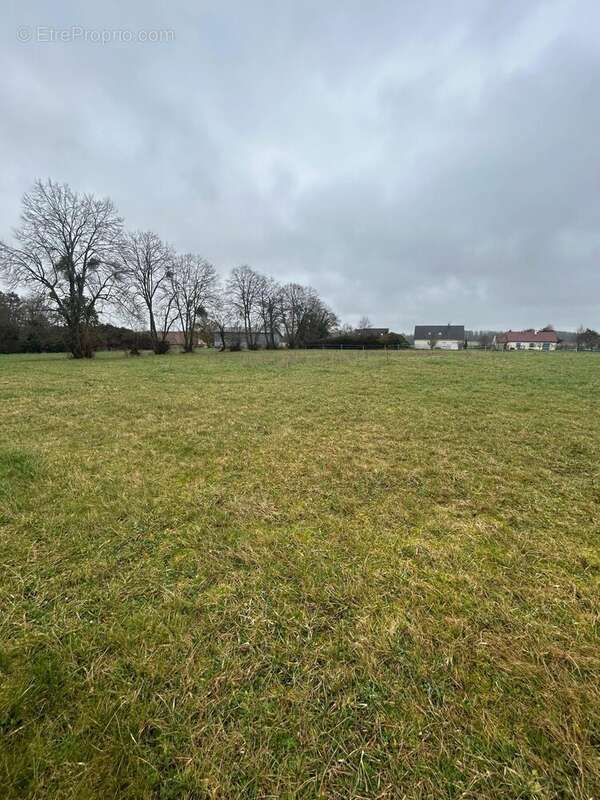 Terrain à BRIEL-SUR-BARSE