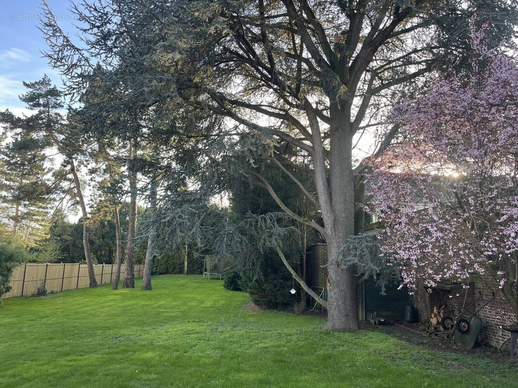 Maison à VILLENEUVE-D'ASCQ